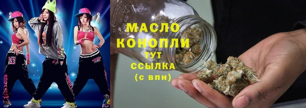молекула духа Осташков
