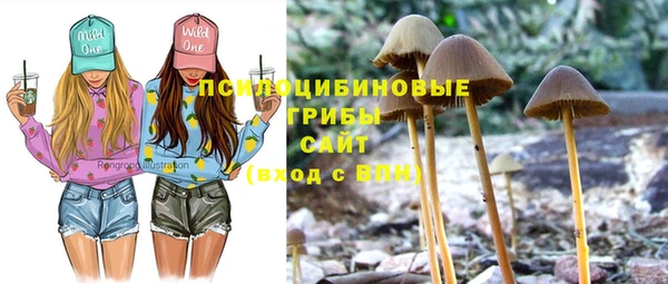 jwh Нязепетровск