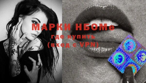 трава Новодвинск