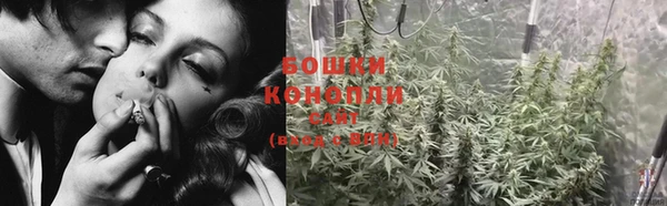сатива Нягань