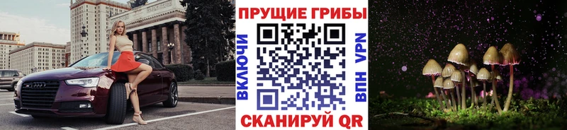 Галлюциногенные грибы GOLDEN TEACHER где можно купить наркотик Моздок