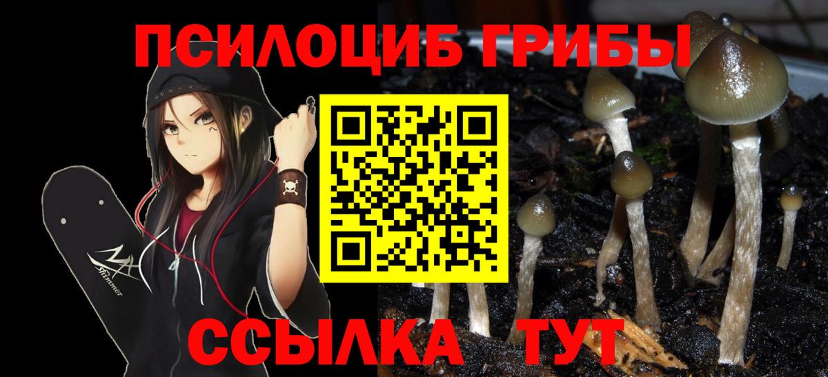 Псилоцибиновые грибы Magic Shrooms Моздок