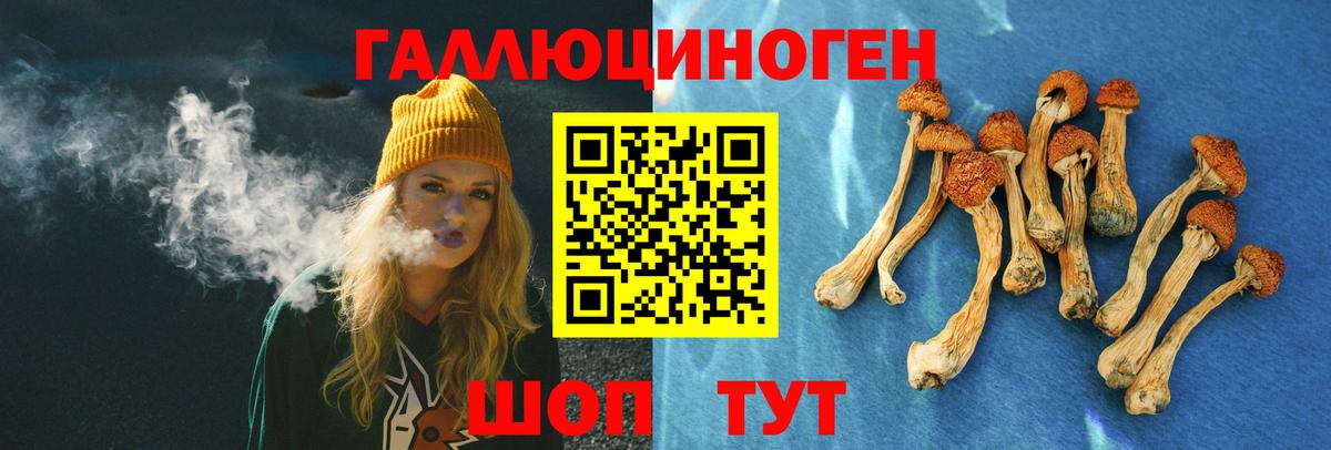 Псилоцибиновые грибы прущие грибы Моздок