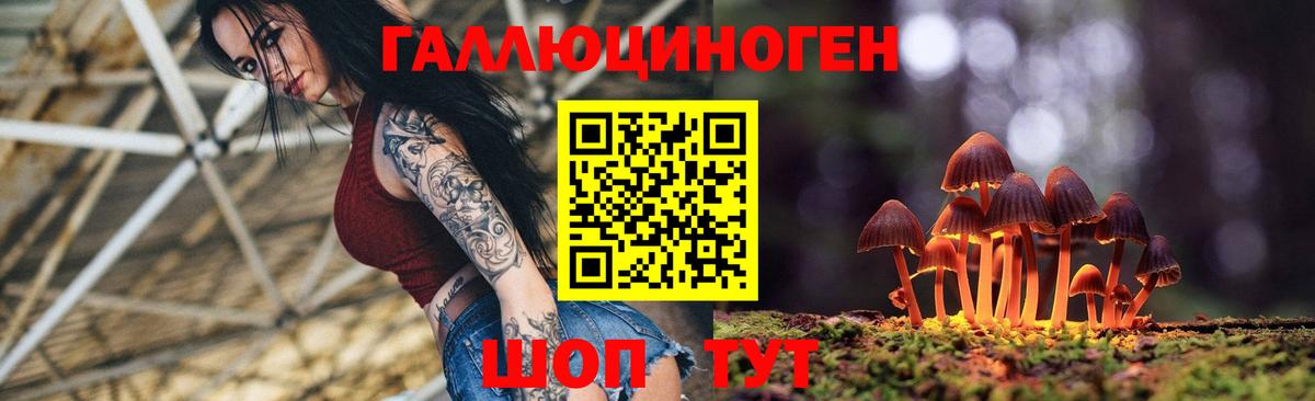 Псилоцибиновые грибы Psilocybe  Моздок 