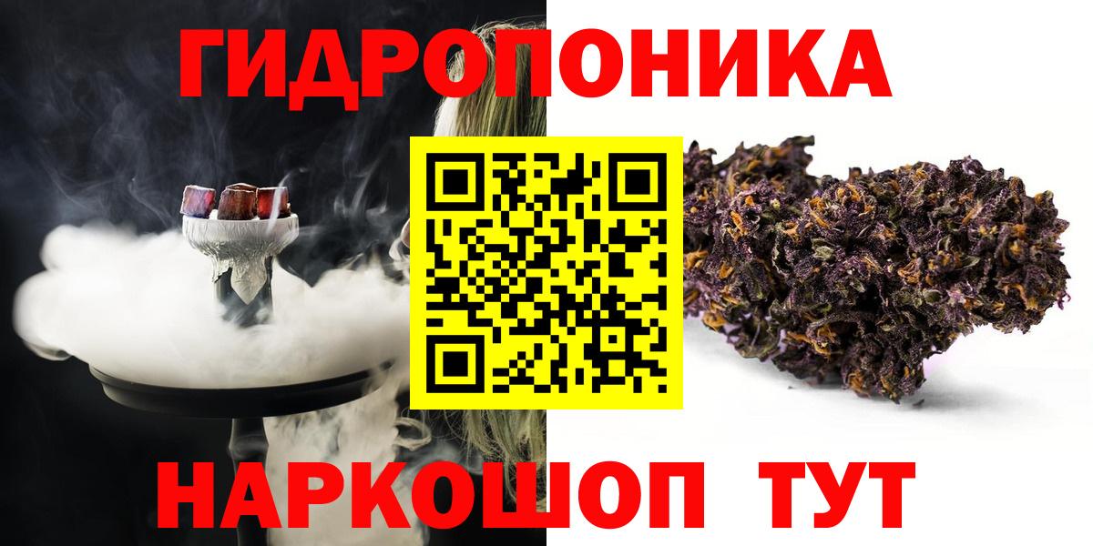 Бошки марихуана семена  Моздок  Каннабис сатива 